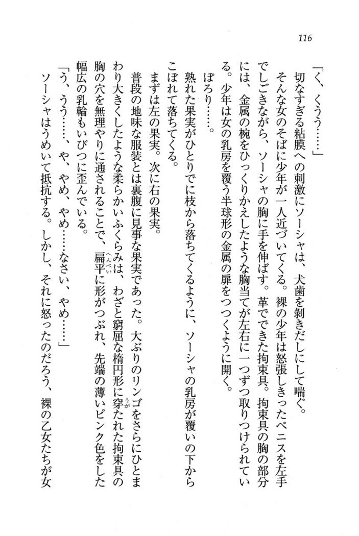 サーカス〜聖杯の魔法使い