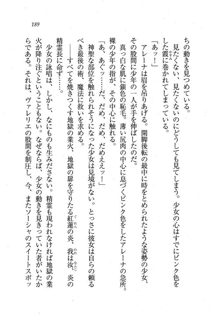サーカス〜聖杯の魔法使い
