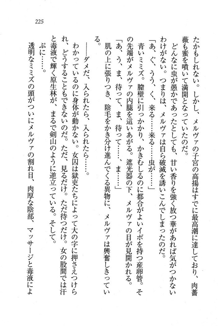 サーカス〜聖杯の魔法使い