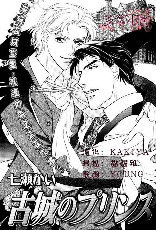 古城のプリンス 古城のプリンス