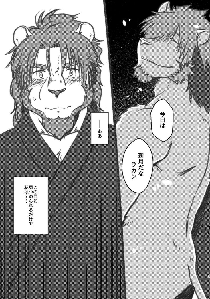 コワレテイル