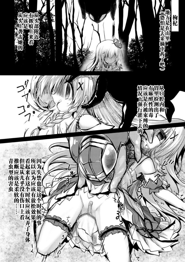 Gaichuu Higai Houkokusho File 2