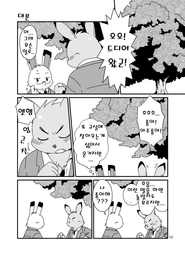 はじめましてのうさぎども