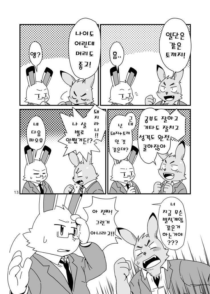 はじめましてのうさぎども