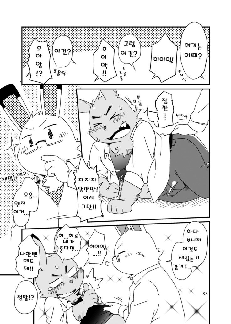 はじめましてのうさぎども