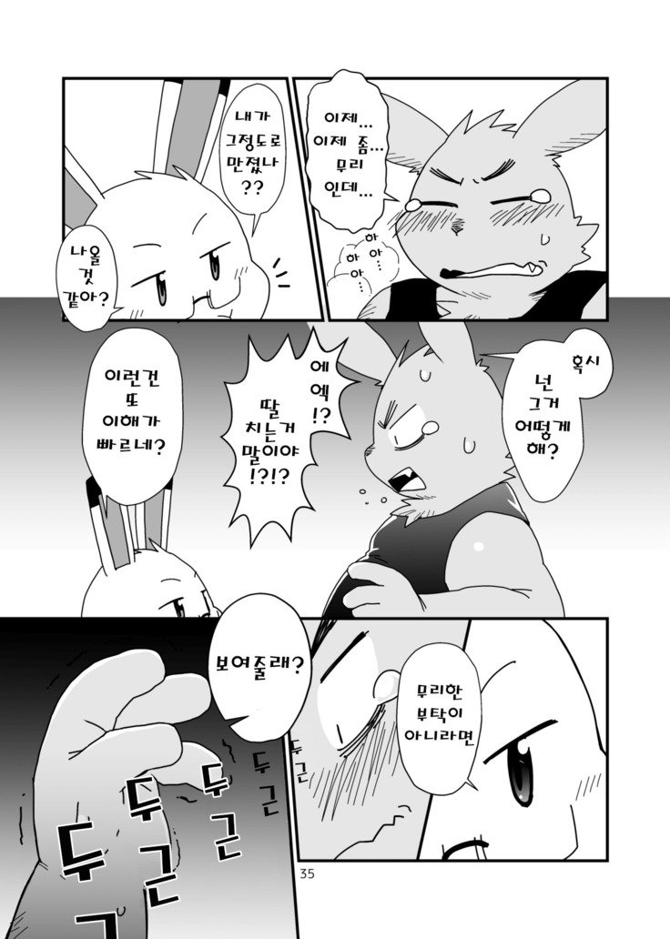 はじめましてのうさぎども