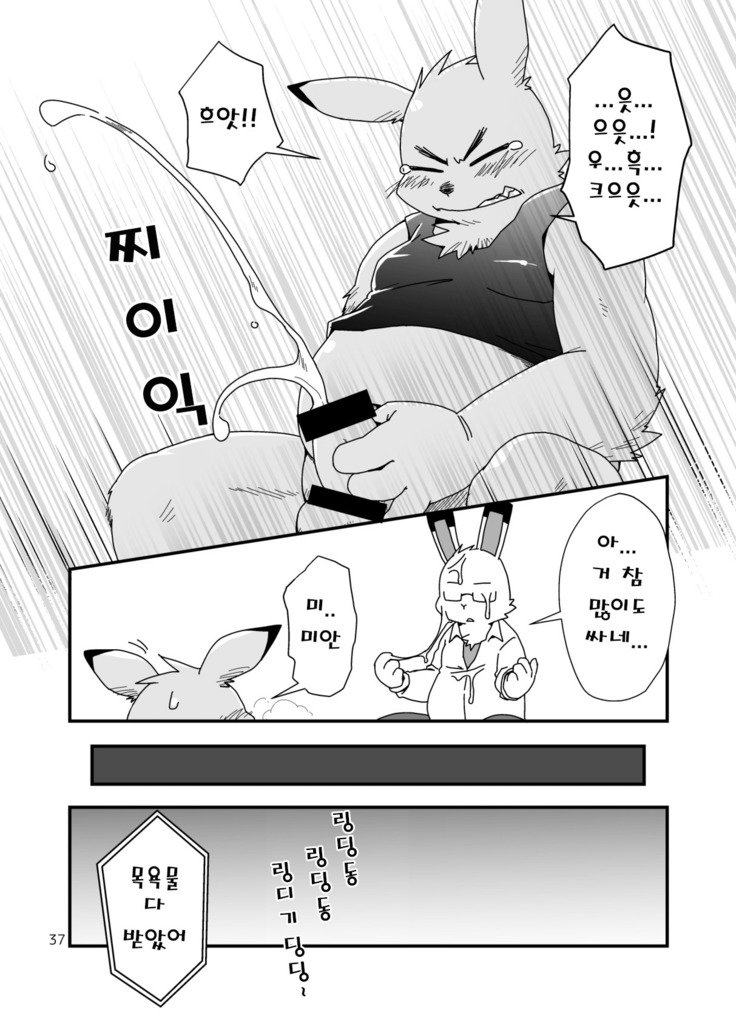 はじめましてのうさぎども