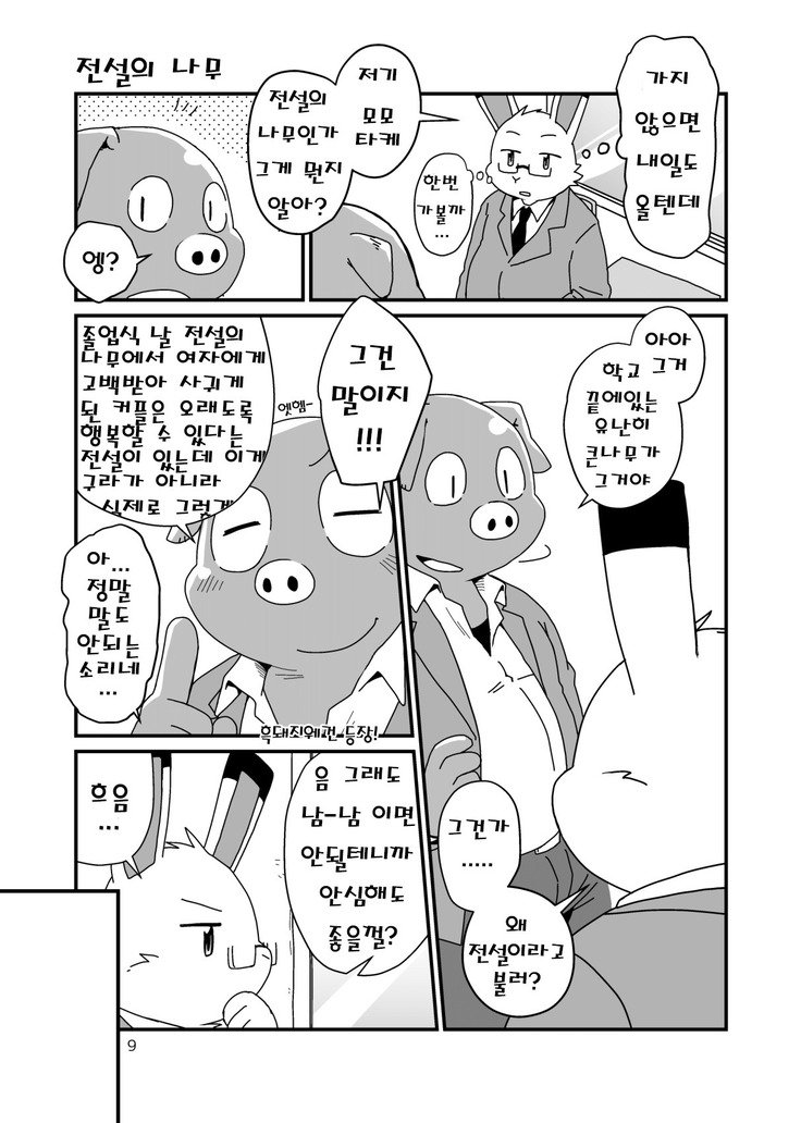 はじめましてのうさぎども