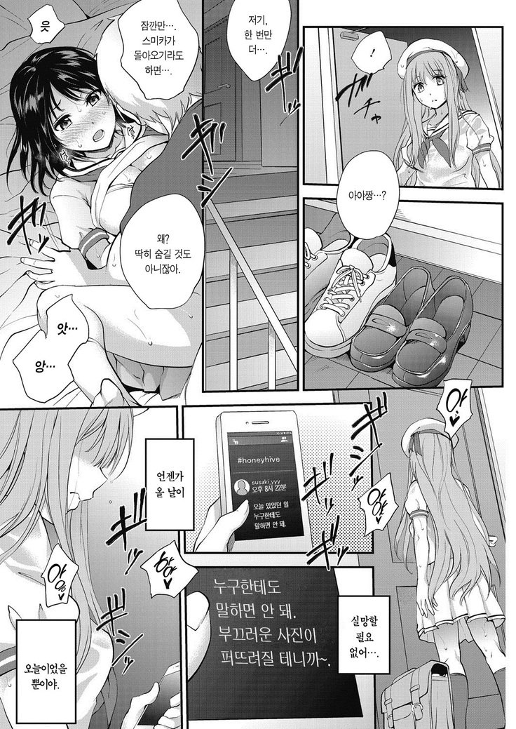 ハニーハイブ-防波堤少女-