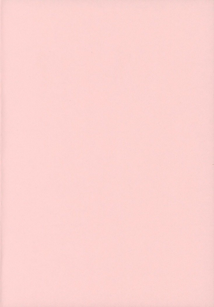 タダイマ、マイハニー| 다녀왔어마이허니