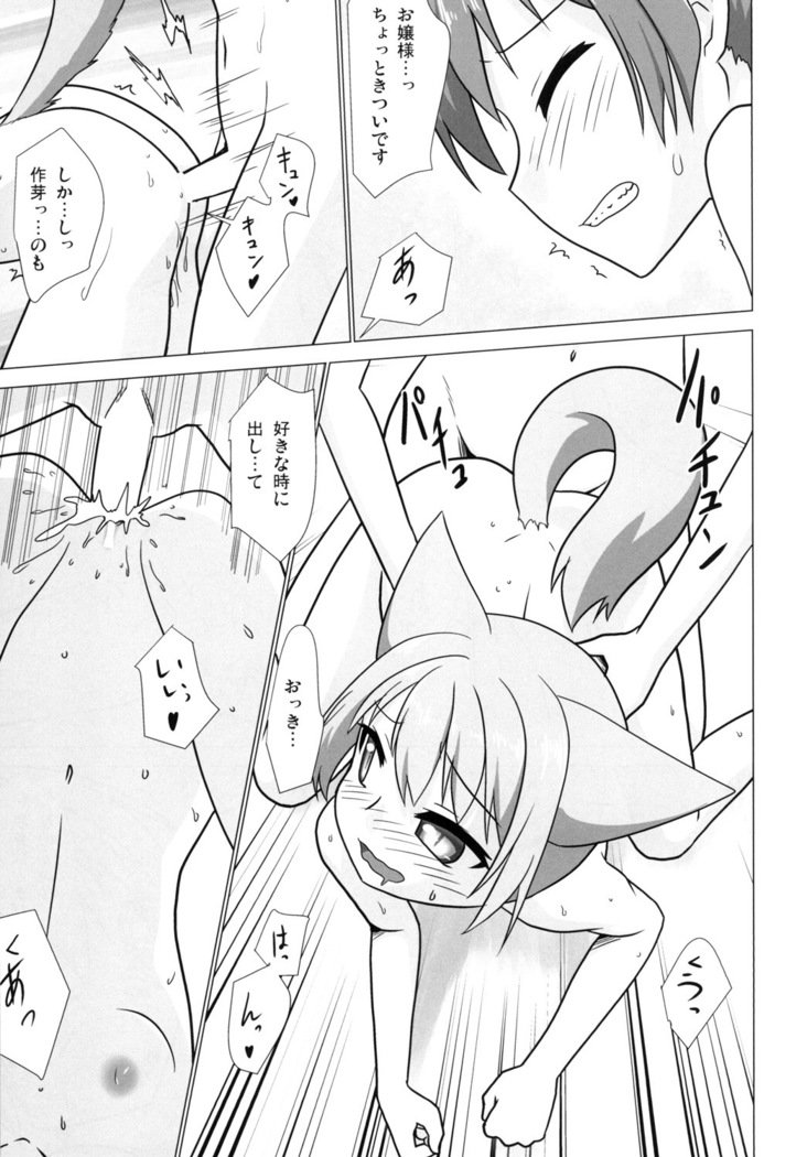 おやしろ便り 一 おやしろ便り 一