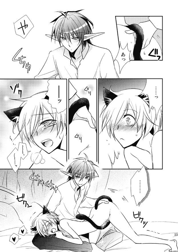 私のネコパートナーのさかり