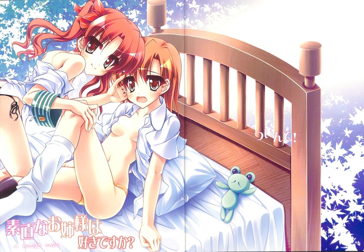 砂尾なおねえ様はすきですか? 砂尾なおねえ様はすきですか?