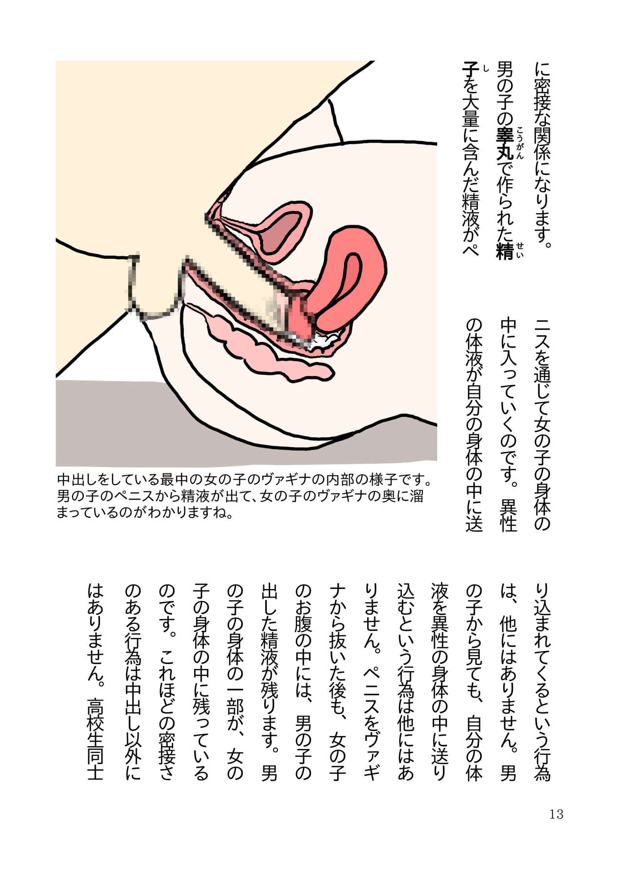 [poza] 高校生カップルのための気持ちいい中出しセックスを楽しむ本