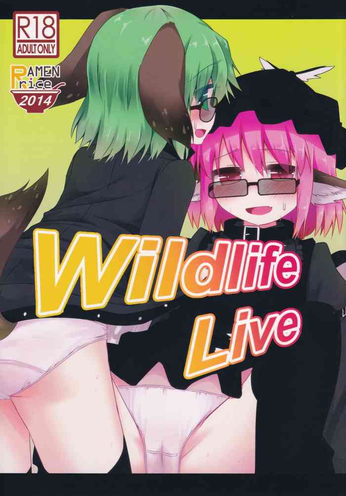 (例大祭11) [らーめんらいす、四人一升 (らじー、しゃも煮)] Wildlife Live (東方Project)