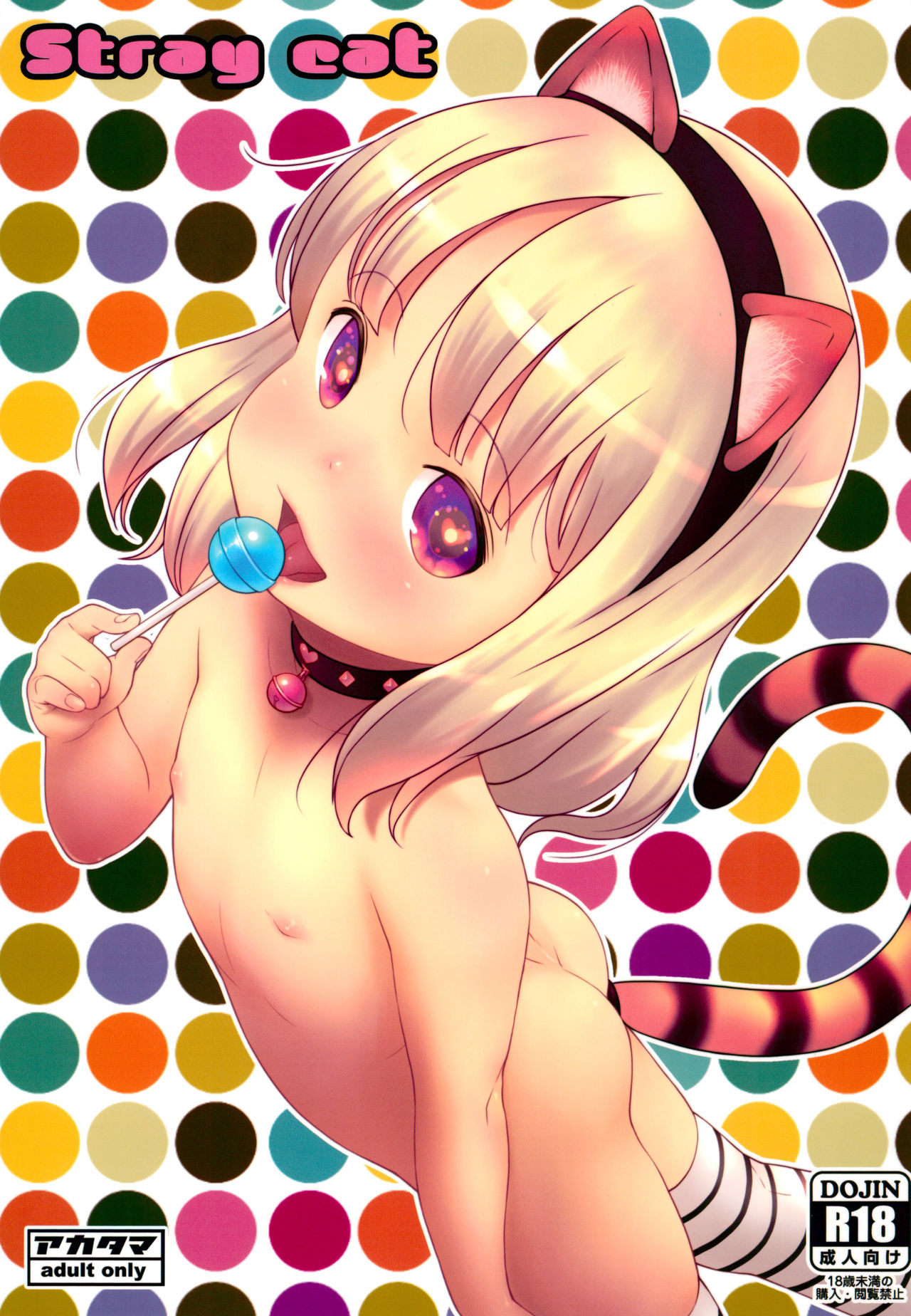 (C96) [アカタマ (桜吹雪ねる)] Stray cat [中国翻訳]