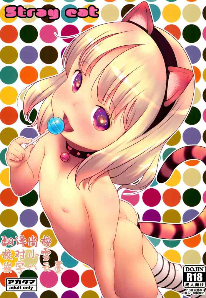 (C96) [アカタマ (桜吹雪ねる)] Stray cat [中国翻訳]