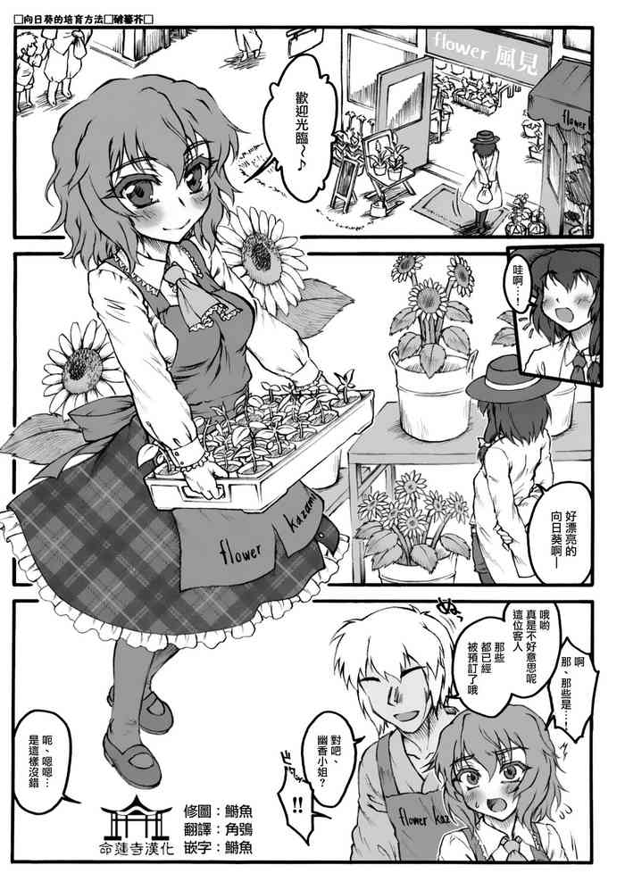 (C84) [アビオン村 (破箒芥)] ひまわりの育て方 (東方鬼畜凌辱ボテ腹合同) (東方Project) [中国翻訳]
