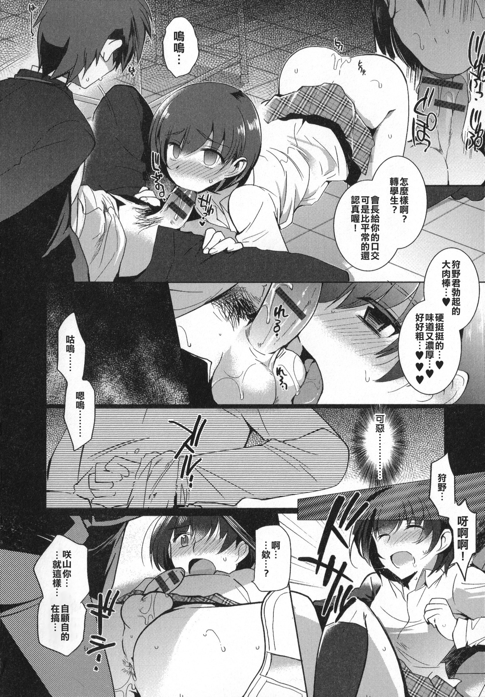 崎山聖霊長の城