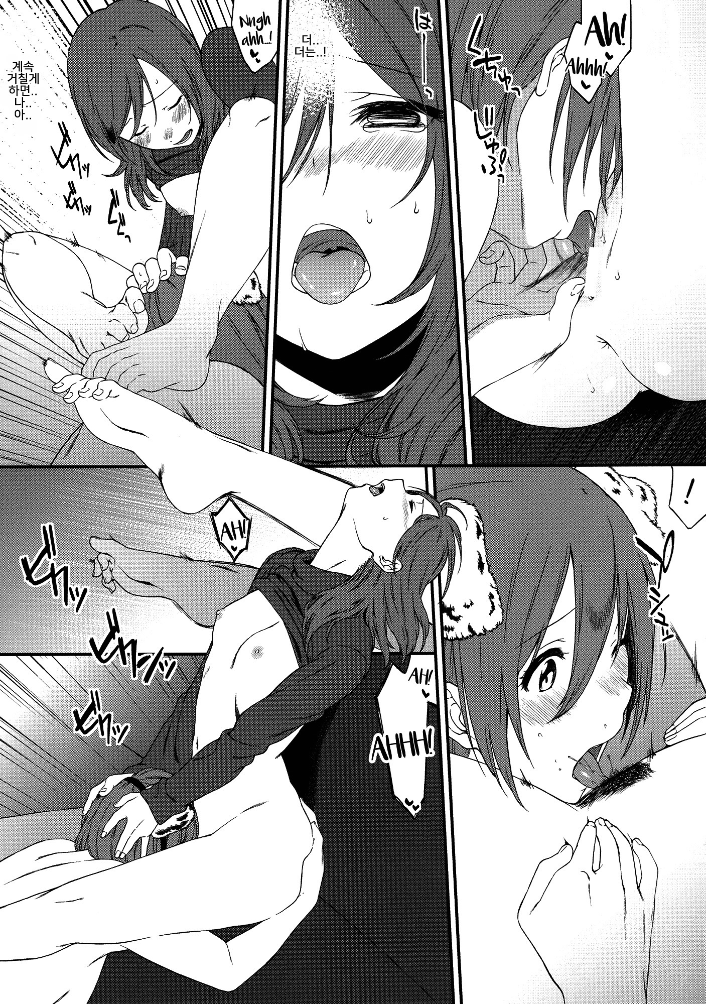 犬の本懐、しつけの本懐犬の欲望としつけの現実