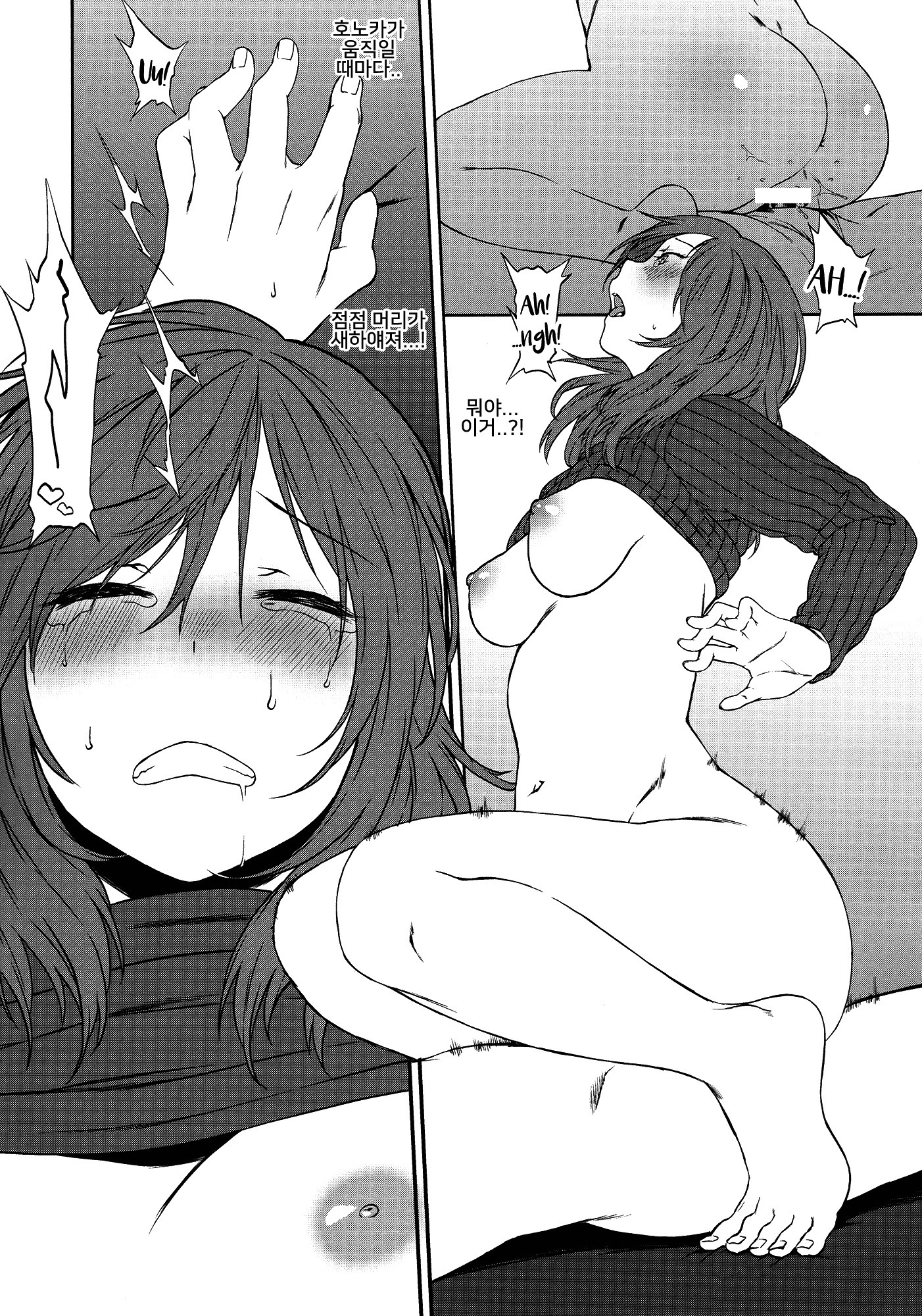 犬の本懐、しつけの本懐犬の欲望としつけの現実