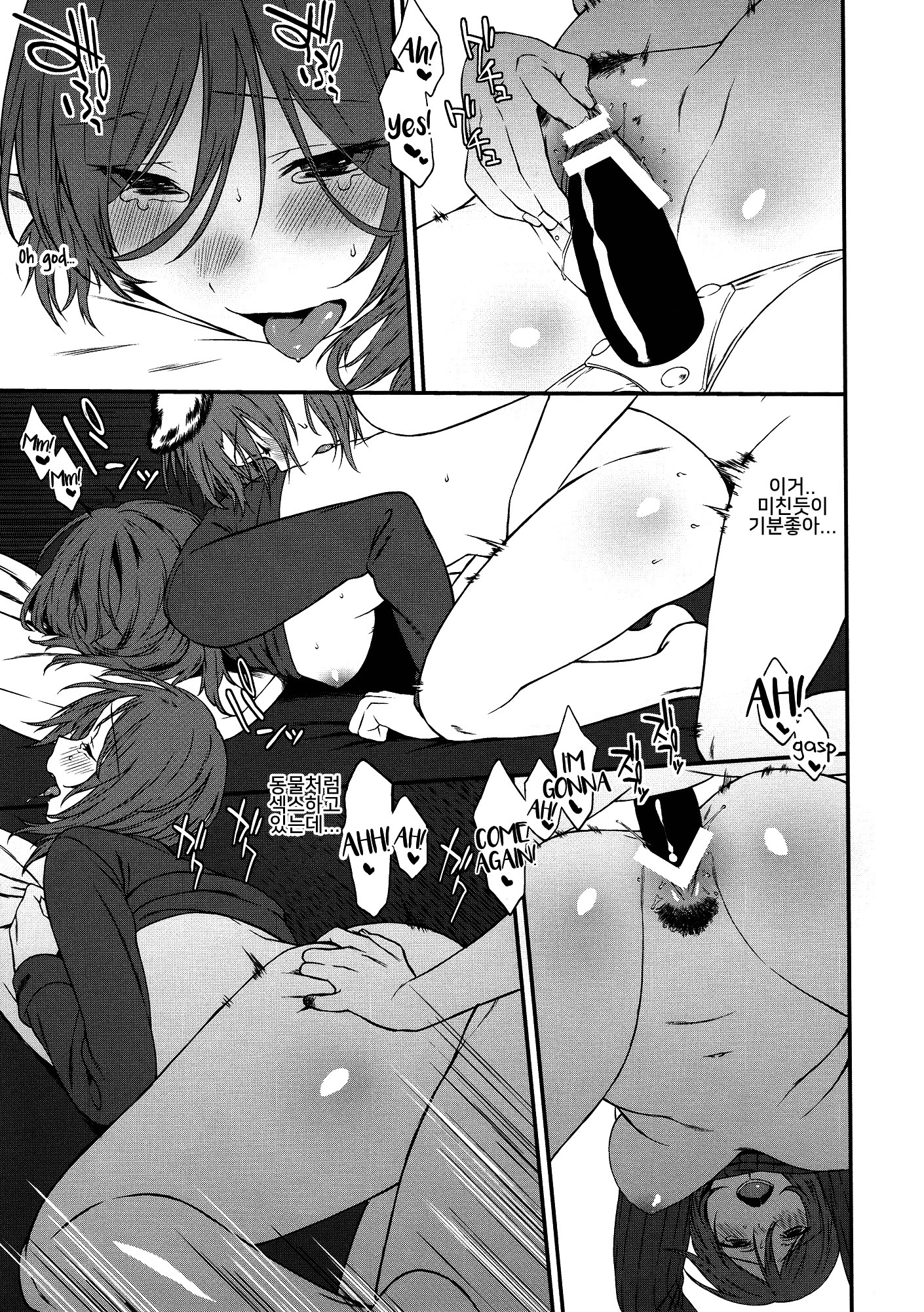 犬の本懐、しつけの本懐犬の欲望としつけの現実