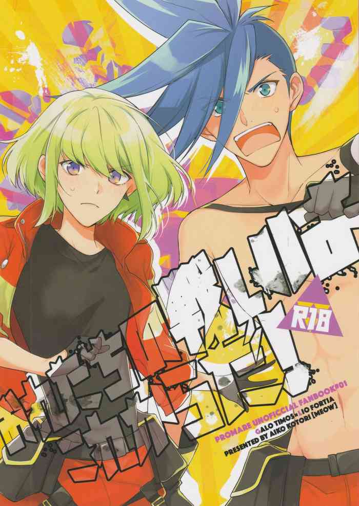 (驚纏動地) [MEOW (コトリアイコ)] おれたちの戦いはこれからだ! (プロメア)