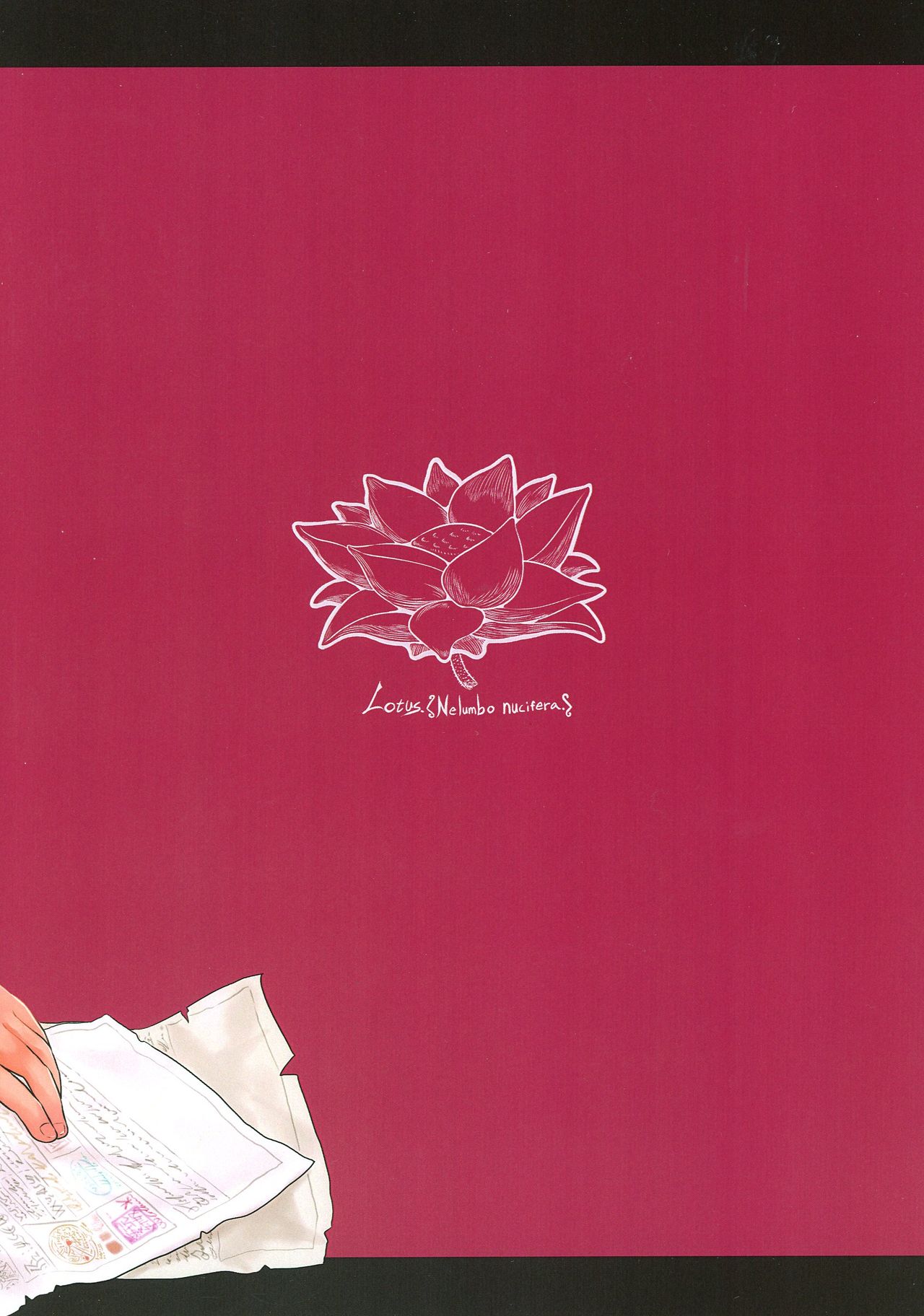 [有害菌類集会所 (毒茸人)] 愛玩幼奴01 [中国翻訳]