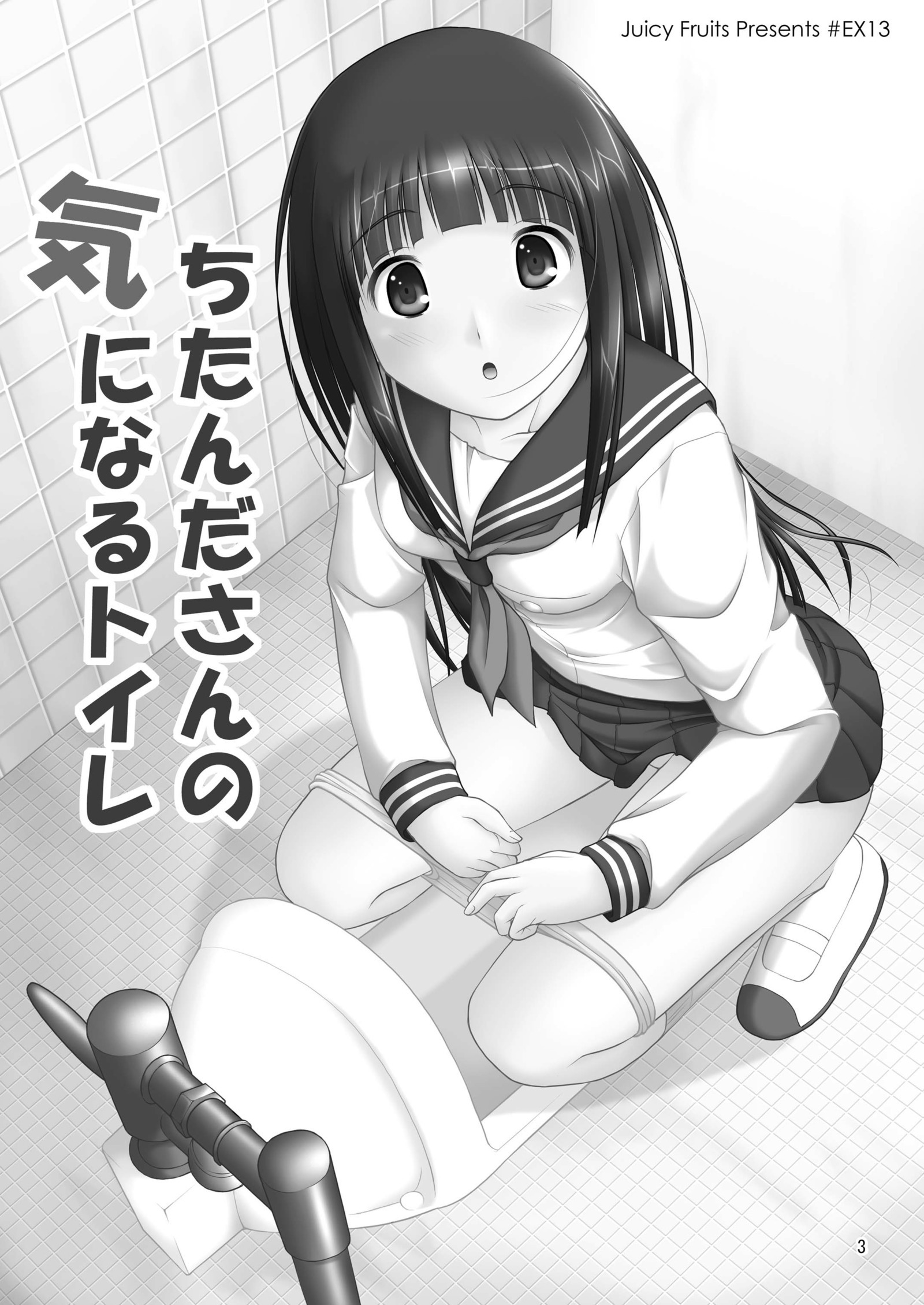 チタンダさんのきになるトイレ