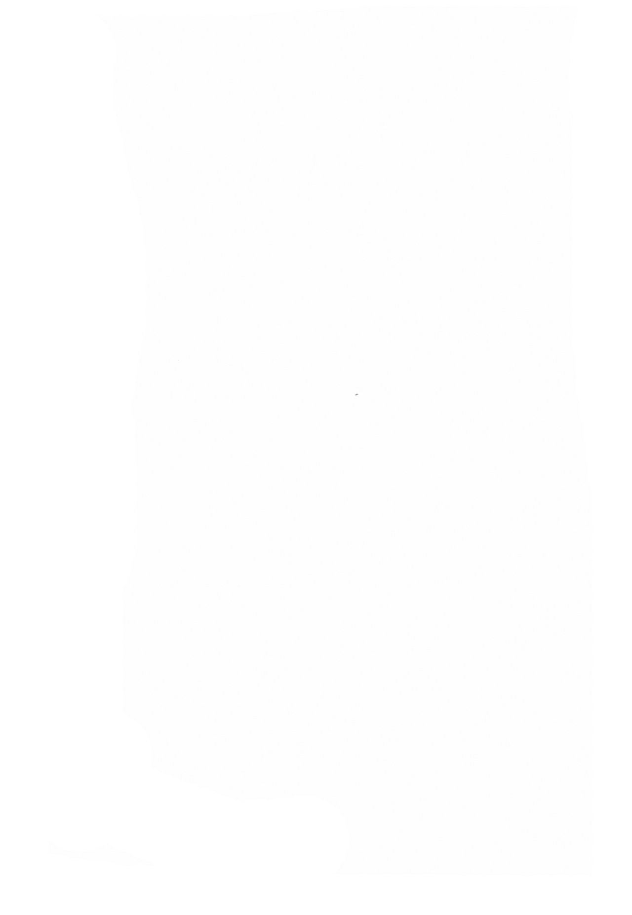 (例大祭13) [ロリメイト製造工場 (ロリメイト)] 僕らのナズリンは不器用かわいい! (東方Project) [中国翻訳]