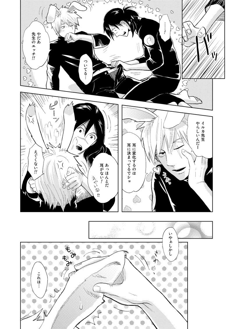 木の葉金星道織の書けい