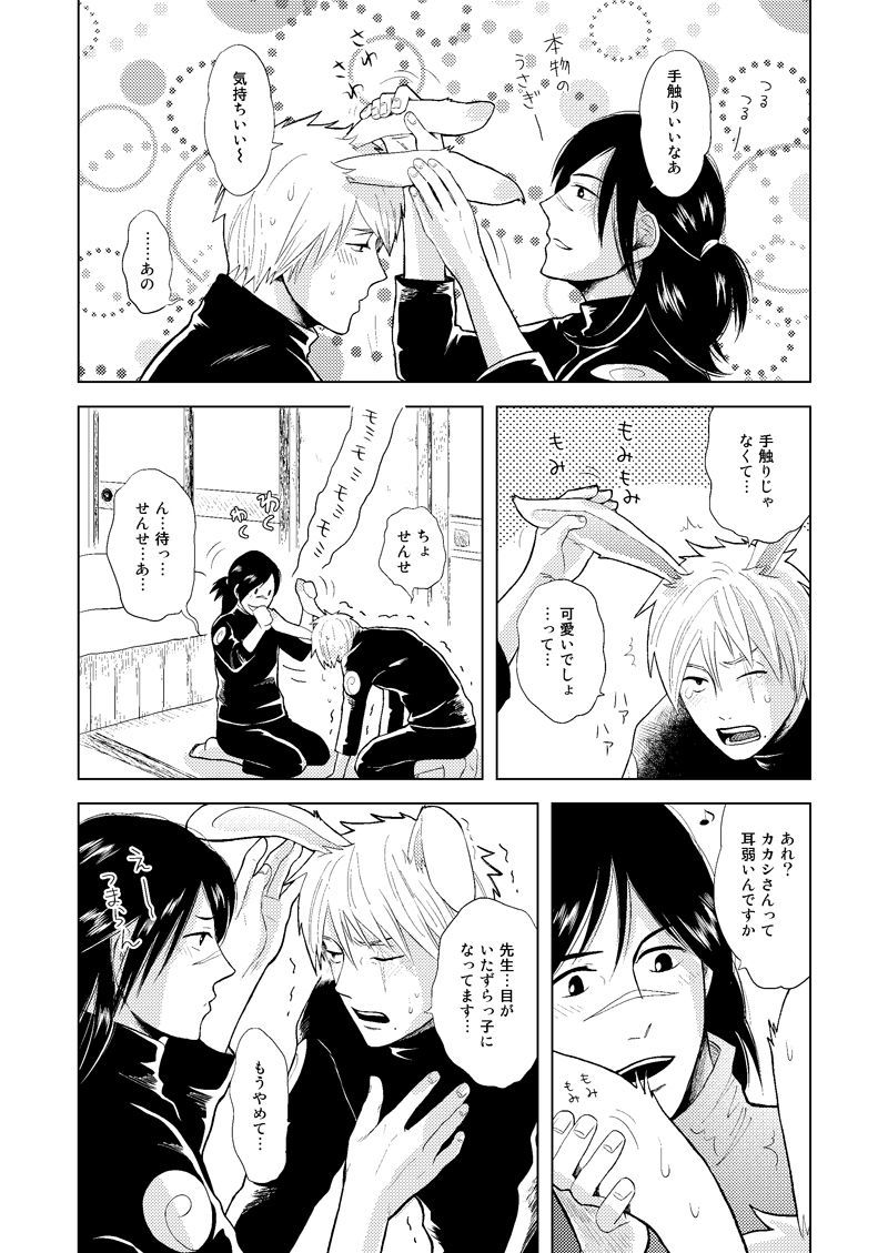 木の葉金星道織の書けい