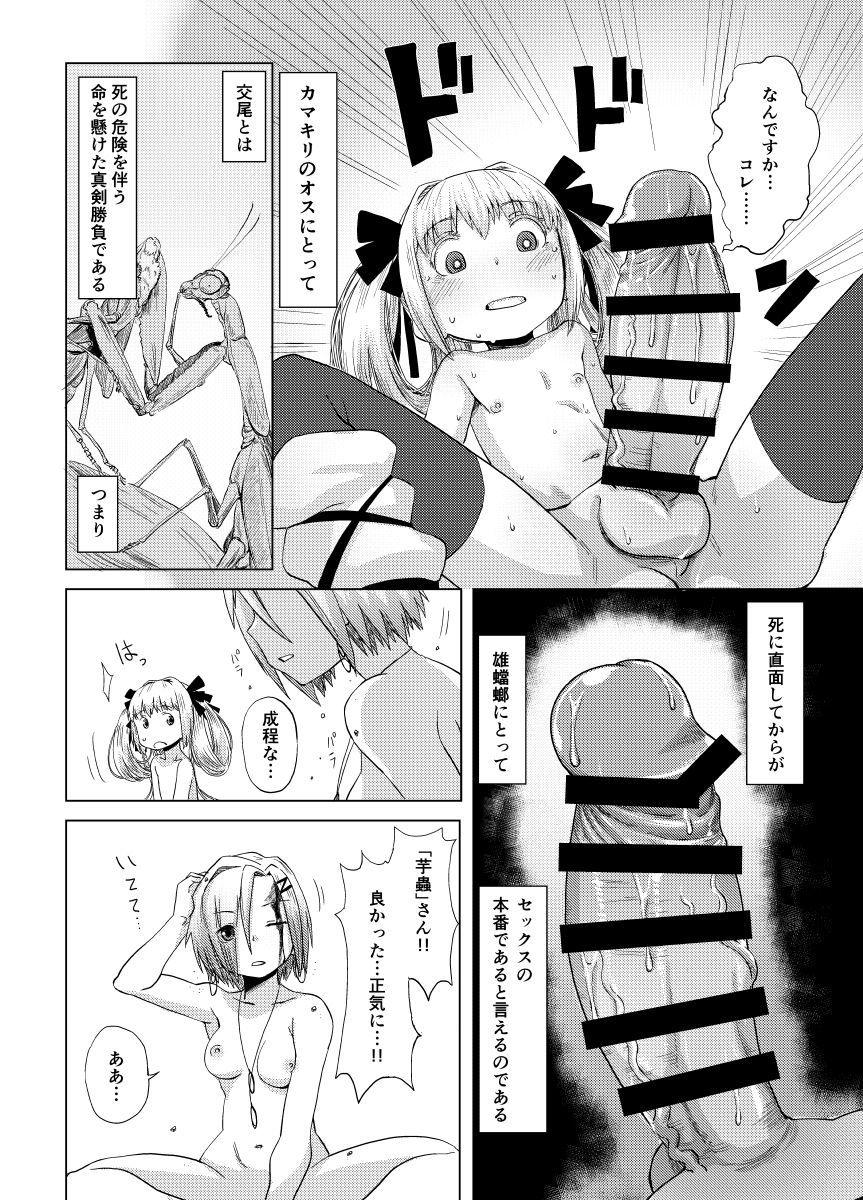 華蟷螂の