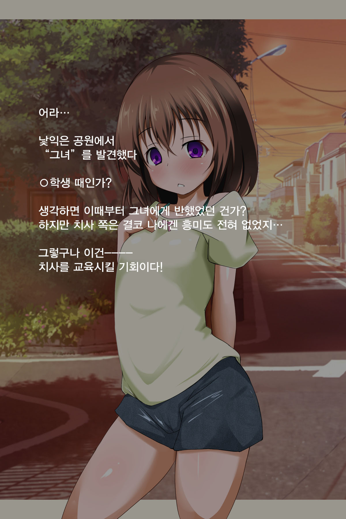 かのじょうかこでむりやりたねつけ！