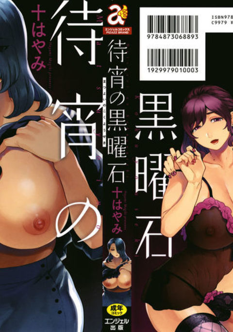 松代の黒曜石 松代の黒曜石