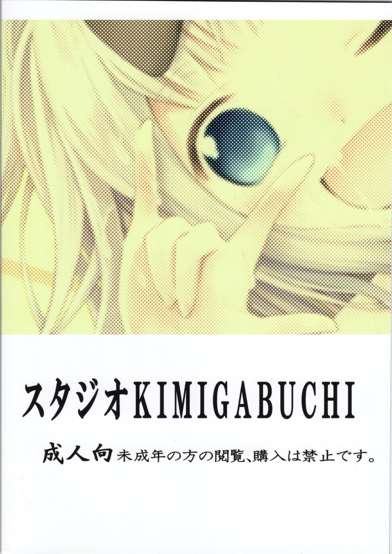 (C97) [スタジオKIMIGABUCHI (きみまる)] かぐや様は射精させたい2 (かぐや様は告らせたい)