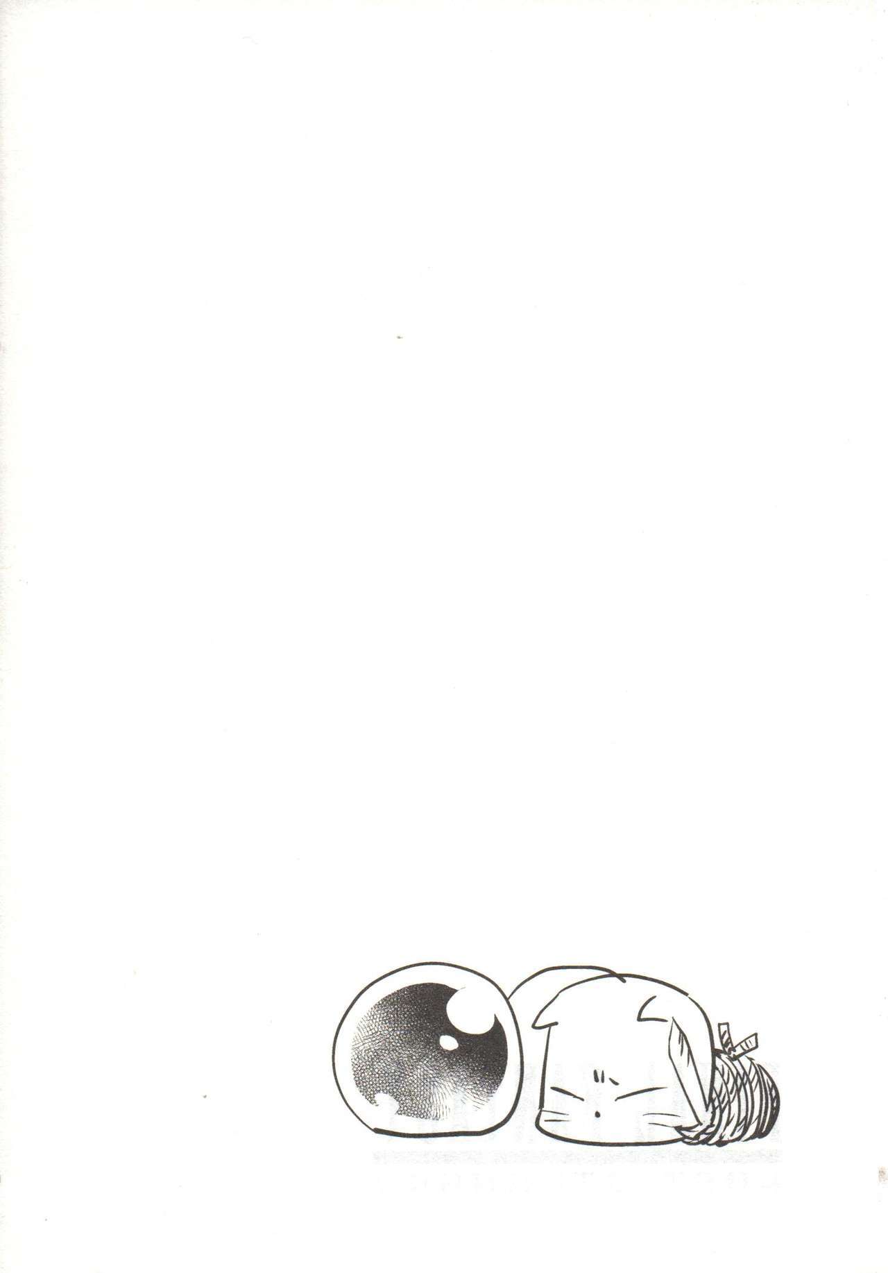 ファイナルファンタジーロストストレンジャーVol.03