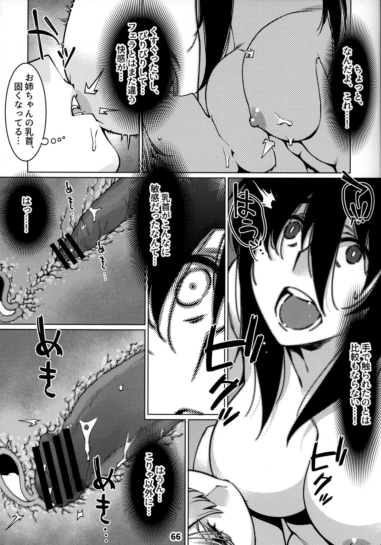 おとなのおもちや12双葉の大花まとめ12