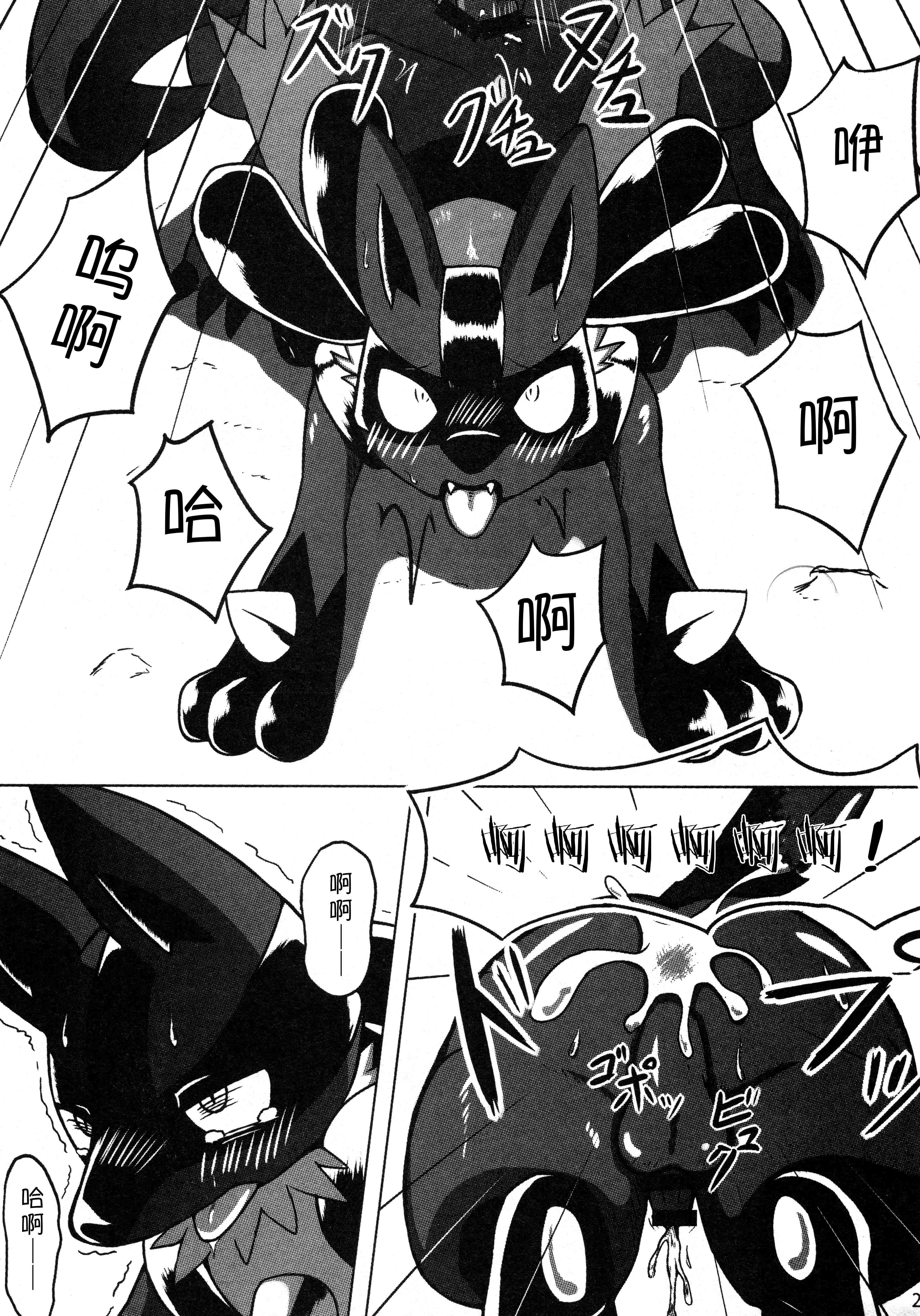 波動フレンズ|導波管朋友