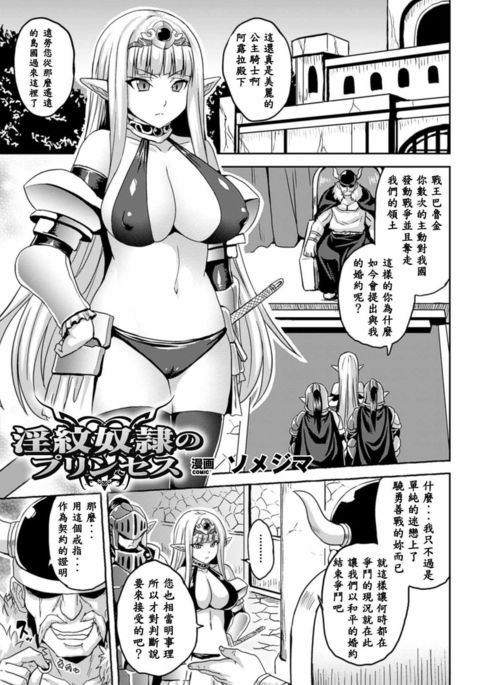 奴隷制の姫 奴隷制の姫
