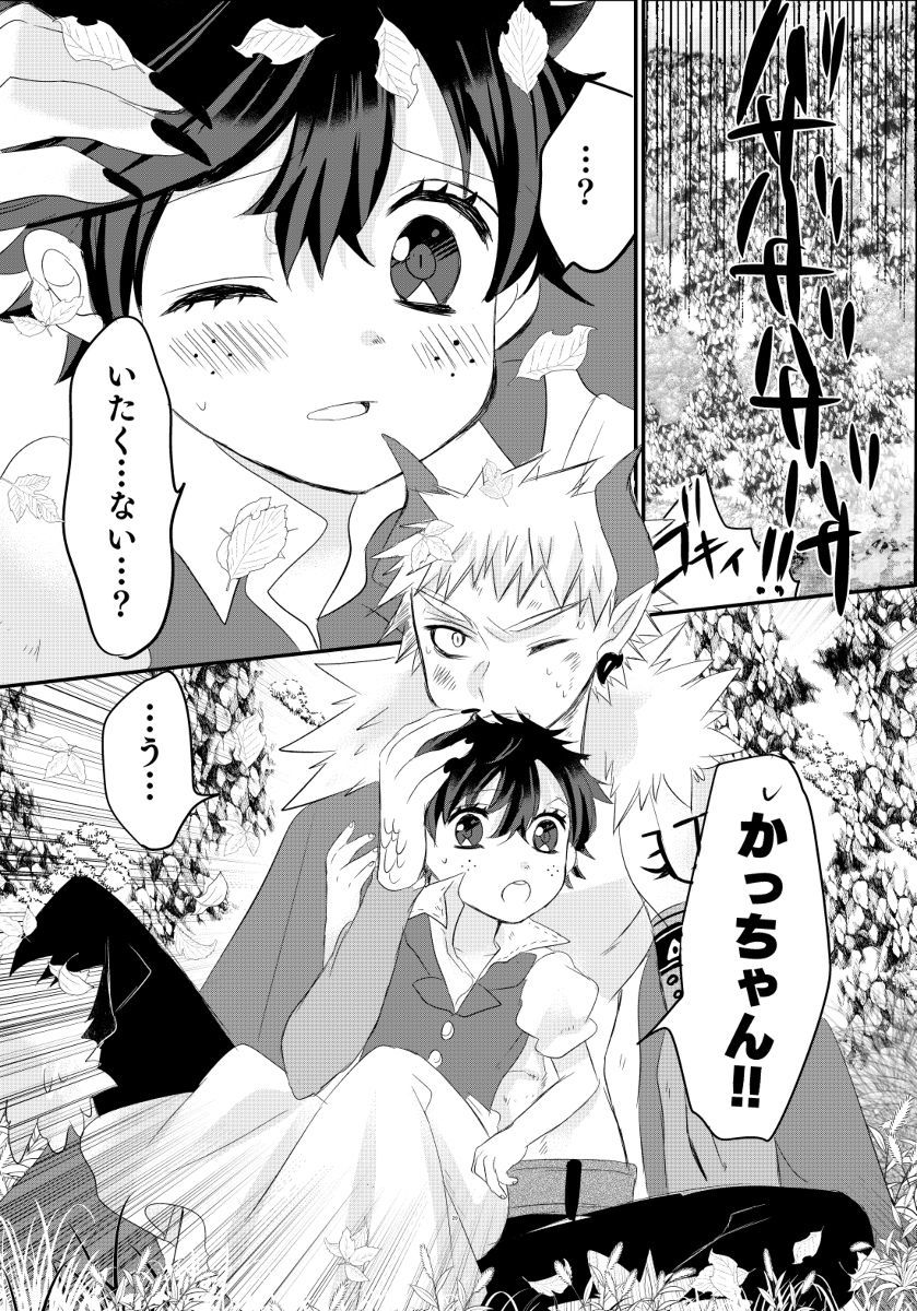 R *COishīmukoseinosodate-kataサンプル