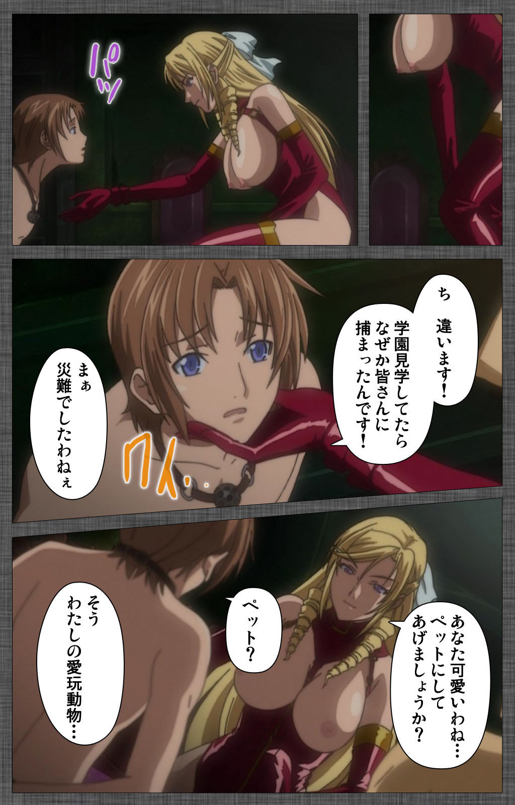 しつけれいかんぜんばん