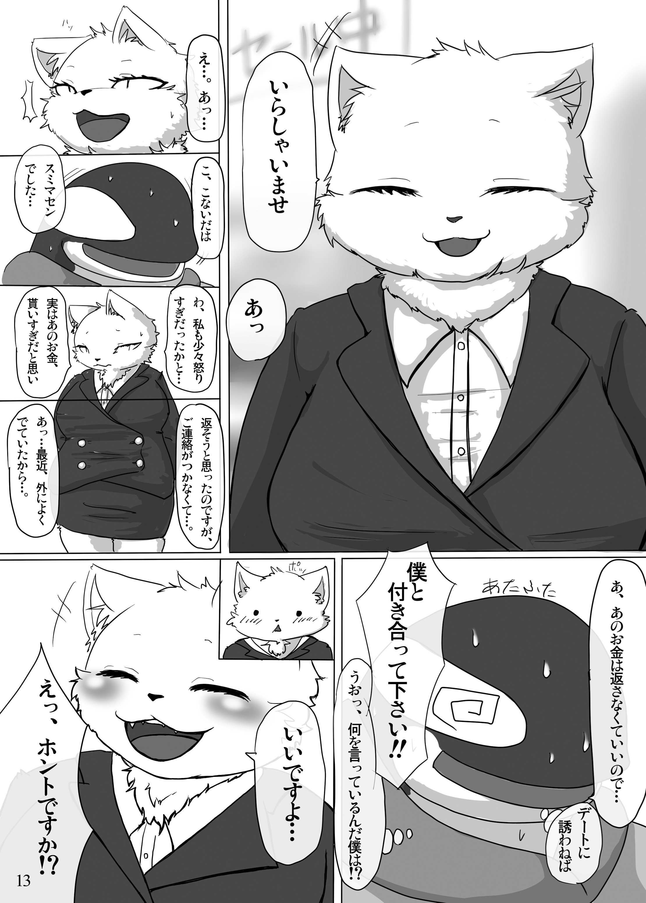 私はぽっちゃり猫が大好きです