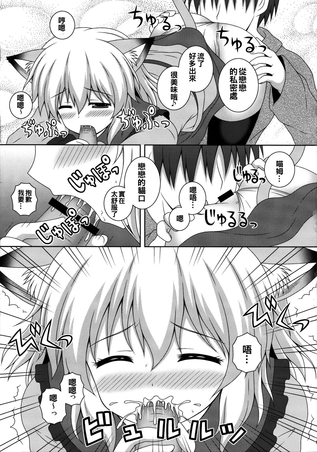 ニャコット小石