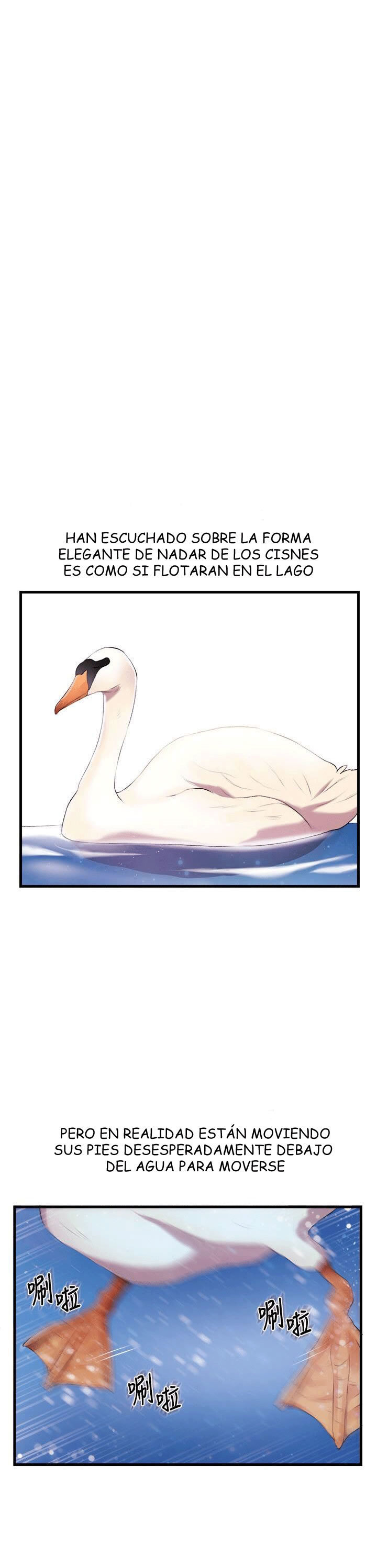 PRESENTADORES DE OFICINA