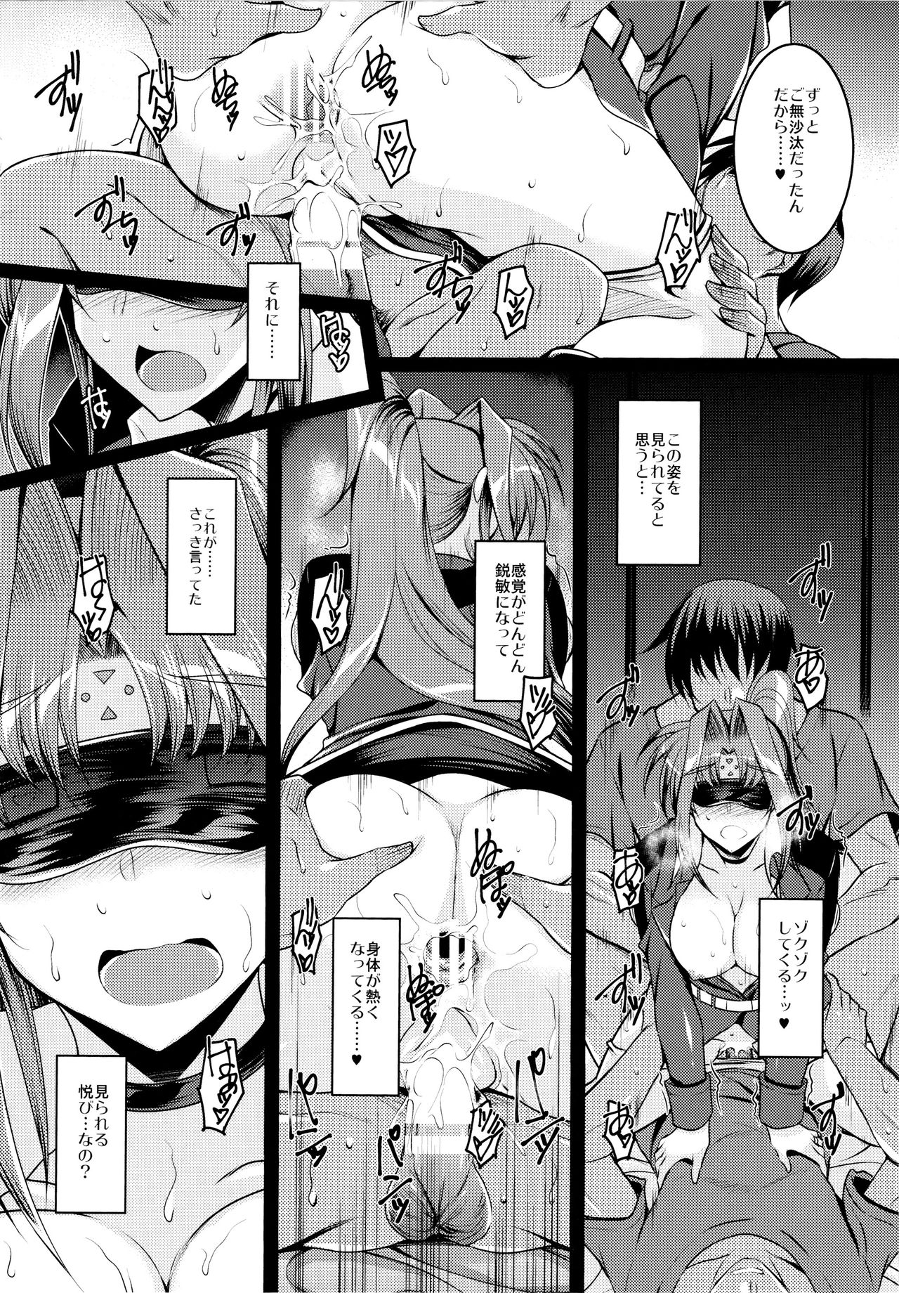 (C96) [ELHEART'S (息吹ポン)] EXT×END 04 (魔法少女リリカルなのは)