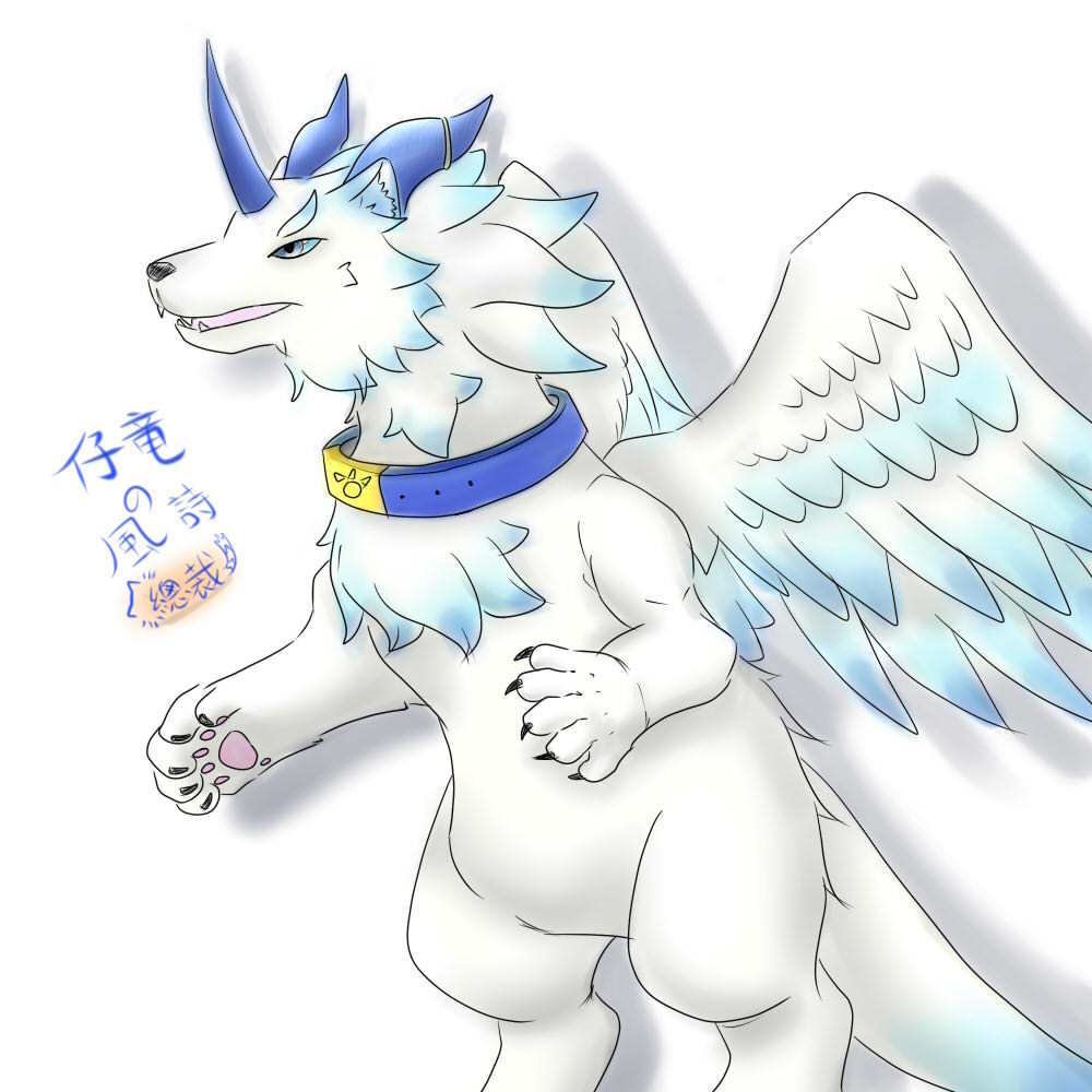 小龍風詩