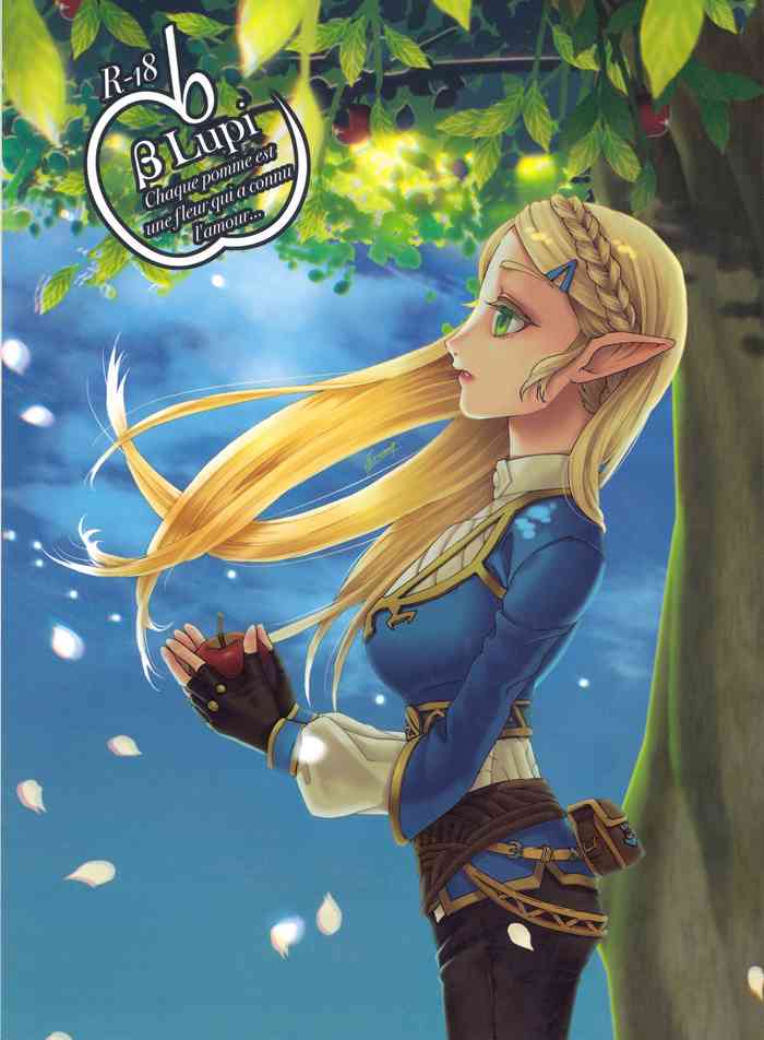 (ALL STAR 9) [MYLAB (白亜卯蘭)] βLupi (ゼルダの伝説) [英訳]