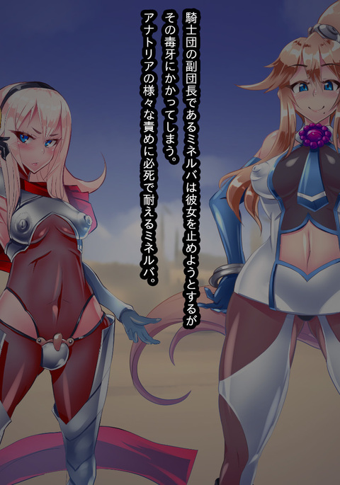 アナトリアvs素晴らしさの騎士_終わりの部分 アナトリアvs素晴らしさの騎士_終わりの部分