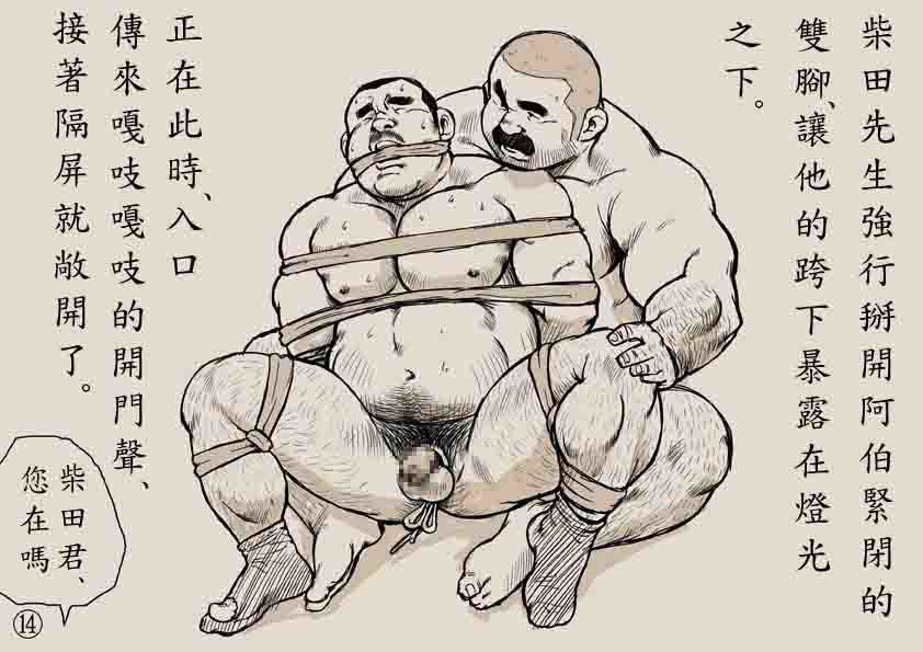 柴田さんからたぬきさん